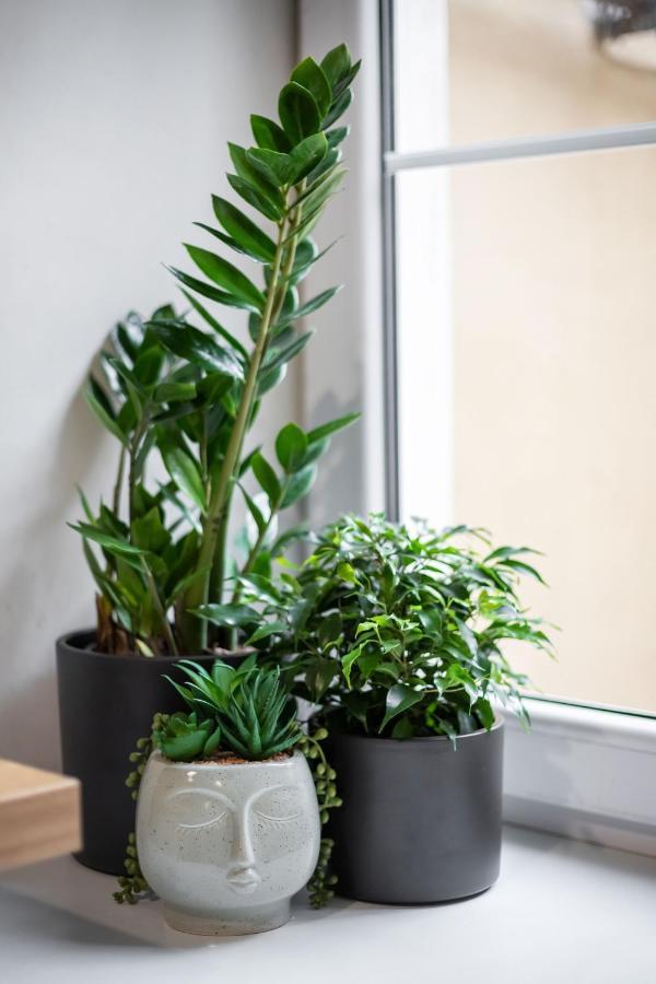 #Stayhere - Cozy 1Bdr Apartment Vilnius Old Town المظهر الخارجي الصورة
